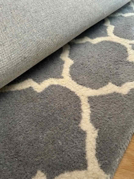 Photo of free Large rug (Lacey Green HP27) #1