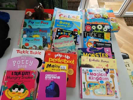 Photo of free Baby/ Children's Books Bundle (Slyne-with-Hest LA2) #1