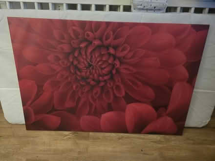 Photo of free Red Floral Canvas (Newtownabbey) #1