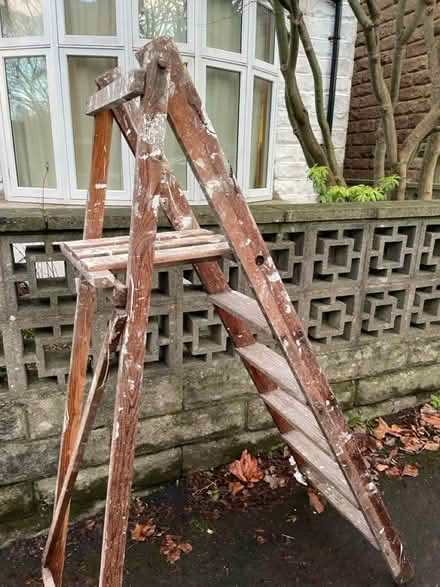 Photo of free Wooden Ladder, Nether Edge (S7 Nether edge) #1