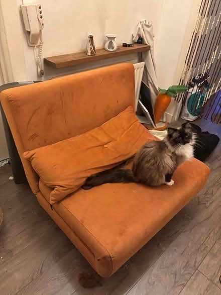 Photo of free Orange Velvet Futon Chair (Glasgow G4) #1