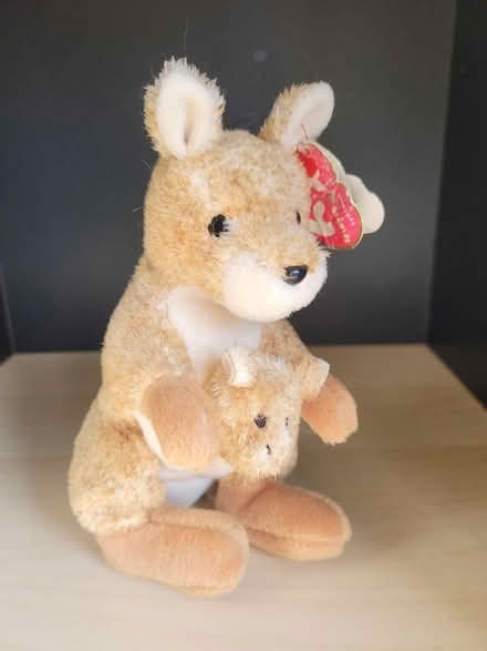 Photo of free Ty beanies toy (Shenley Fields B29) #1