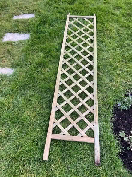 Photo of free Trellis (Bow Brickhill MK17) #1