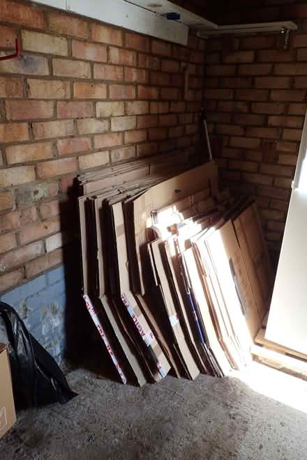 Photo of free packing boxes for house move (Downham Market PE38) #1