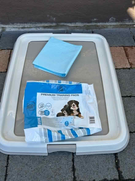 Photo of free Puppy training pad (Rochestown Co Cork) #1