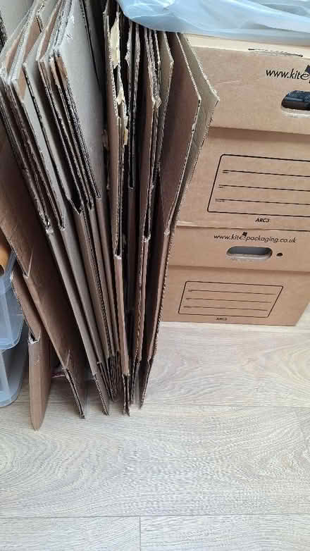 Photo of free Cardboard boxes (Temple Mills E15) #1