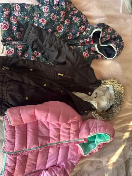 Photo of free Girls clothes(4-5y) (Ruislip) #1