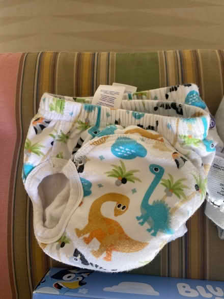 Photo of free Potty training pants (South Kensington W8) #1