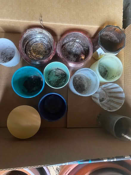 Photo of free Empty candle containers (Los Altos hills) #1