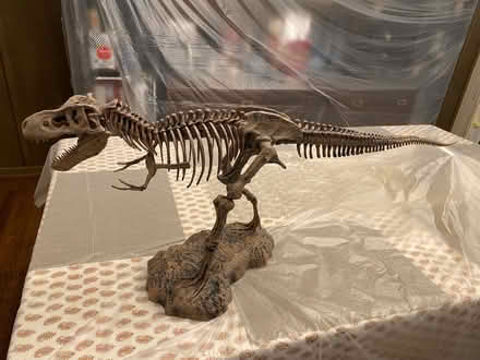 Photo of free T. rex model for a Dino lover (Potomac MD) #1