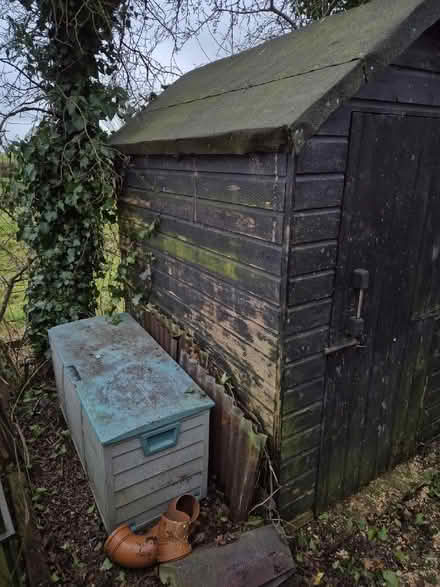 Photo of free 6' x 4' garden shed (Welshampton SY12) #3