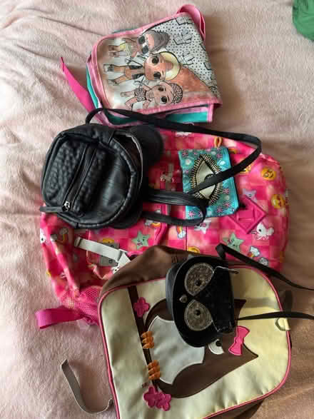 Photo of free Bags and purses (Ruislip) #1