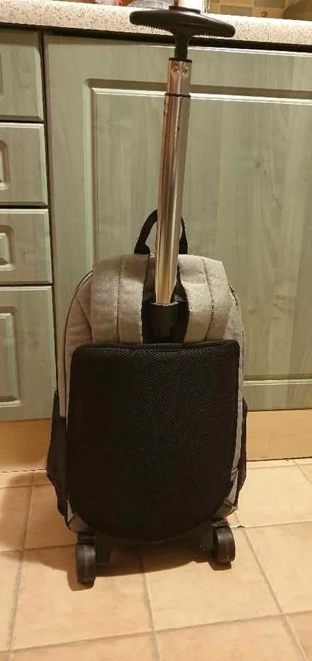 Photo of free Rucksack with removable wheels (Newton Hill WF1) #2