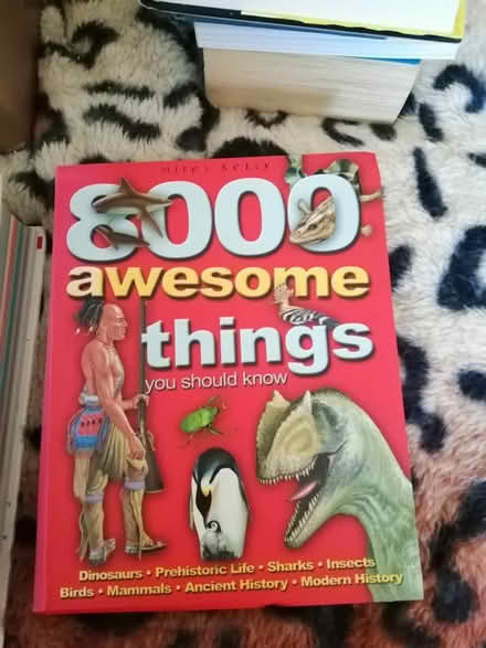 Photo of free 1000 Awesome Things book (Little Chester DE1) #1