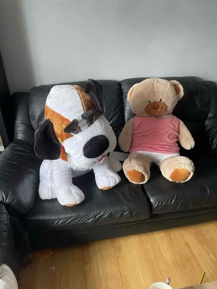 Photo of free Huge dog and teddy bear (Isleham CB7) #1