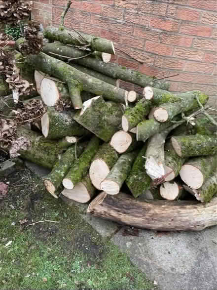 Photo of Firewood / logs (Ribble Valley) #2