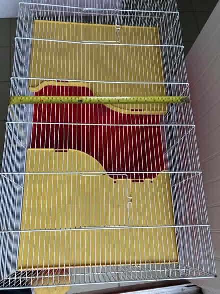 Photo of free guinea pig/rat cage (West Ferry DD5) #3