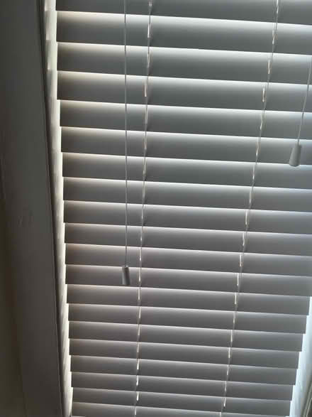 Photo of free Bay window Wooden Venetian blinds (Lytham St Anne’s, FY8) #3