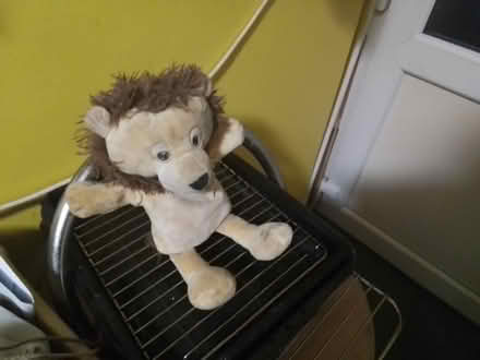 Photo of free Hand puppet (Medway..) #1