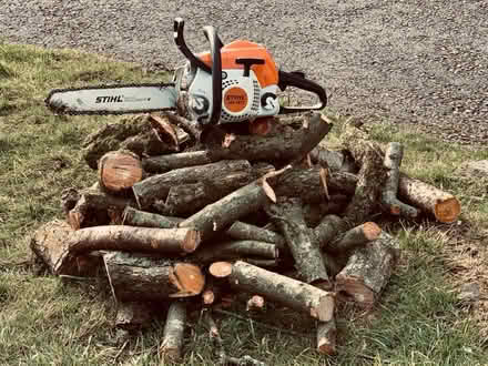 Photo of Logs / Firewood (Ribble Valley) #1
