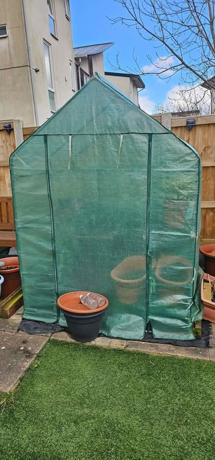 Photo of free Plastic green house (Beswick M11) #2