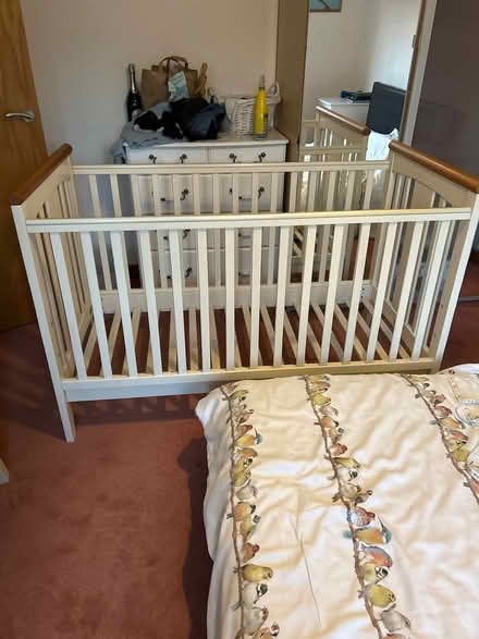 Photo of free Cot/cot bed (Cm22) #2