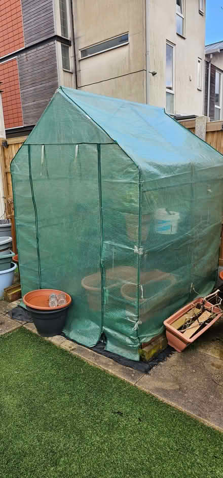 Photo of free Plastic green house (Beswick M11) #1