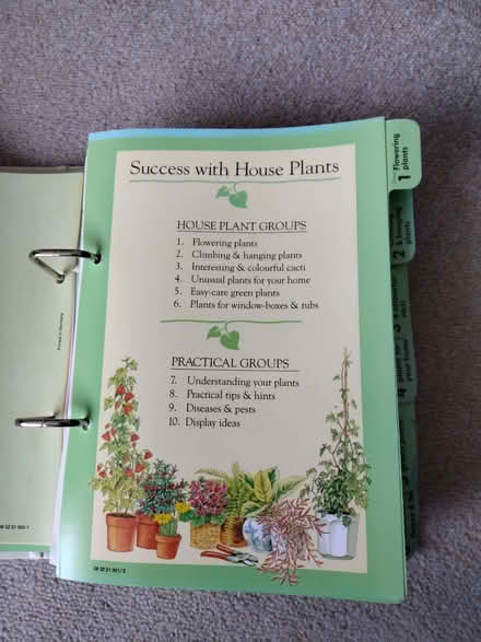 Photo of free Success with house plants (West Moors BH22) #2