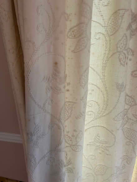Photo of free Curtains pair (Shankill) #3