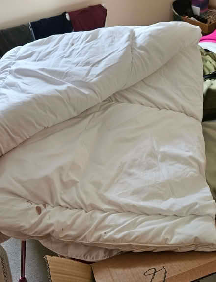 Photo of free Double size Quilt (Pamington GL20) #3