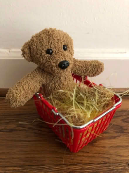 Photo of free Teddy Bear in Red Basket (Bethesda- River Rd & Wilson Ln) #1