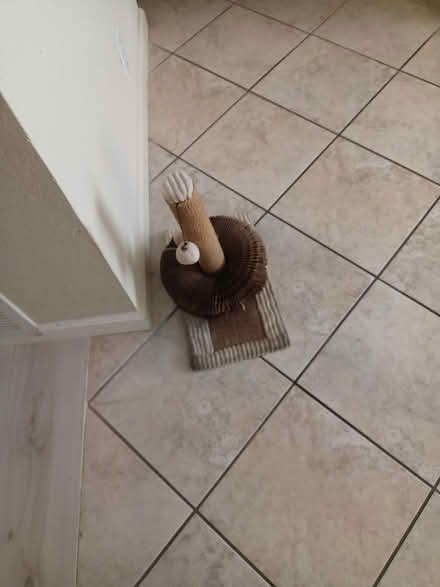 Photo of free Cat Scratcher Post (2234 River Run Dr. 92108) #2