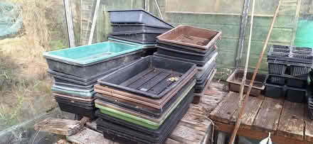 Photo of free Seed trays (Farnley LS12) #1