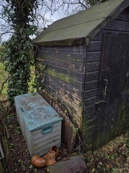 Photo of free 6' x 4' wooden garden shed (Welshampton SY12) #3