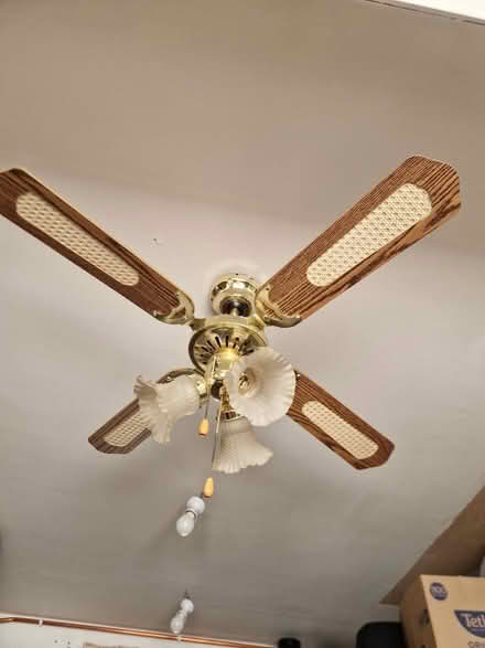 Photo of free Ceiling fan/light (Whitnash CV31 2) #1