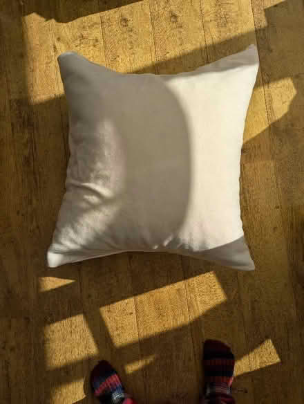 Photo of free Large floor cushion (Sutton Pools OX14) #1