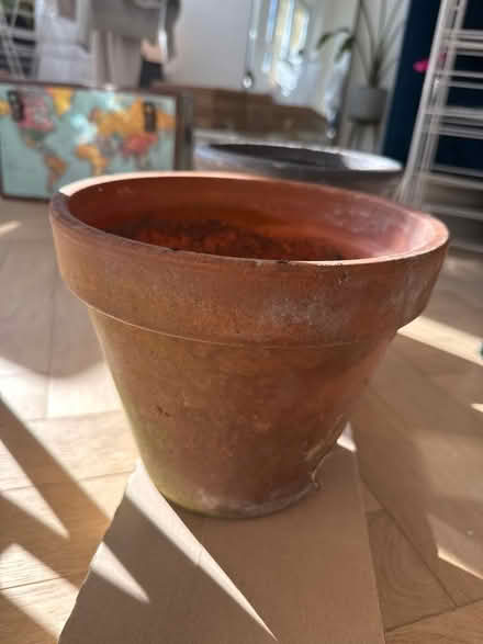 Photo of free Plants pots (Se11 5hw) #3