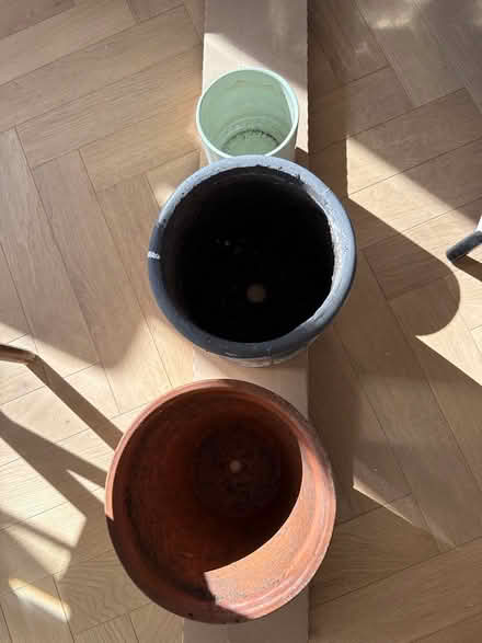 Photo of free Plants pots (Se11 5hw) #2