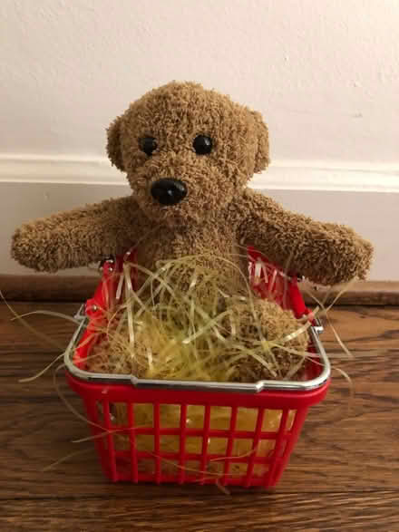 Photo of free Teddy Bear in Red Basket (Bethesda- River Rd & Wilson Ln) #2