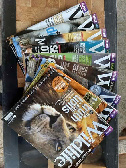 Photo of free 9 BBC Wildlife magazines (Canon pyon) #1
