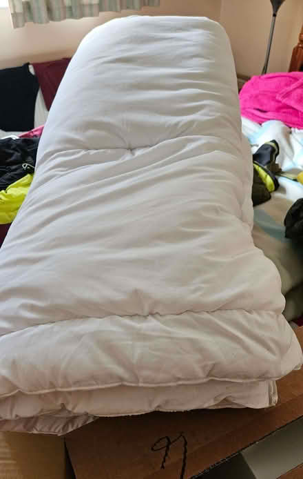 Photo of free Double size Quilt (Pamington GL20) #1