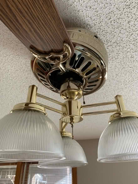 Photo of free Ceiling fan and light (Eden prairie) #1