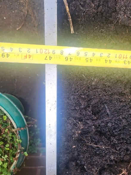 Photo of free Raised planter (Crystal Palace) #4