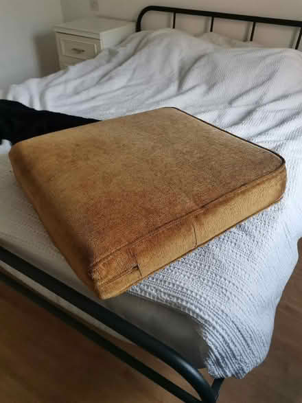 Photo of free 2 big cushions like this one (Normanton WF6) #1