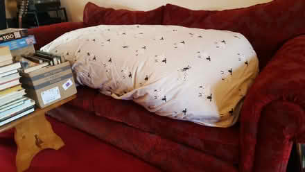 Photo of free Feather bed (Mountsorrel LE12 7) #1