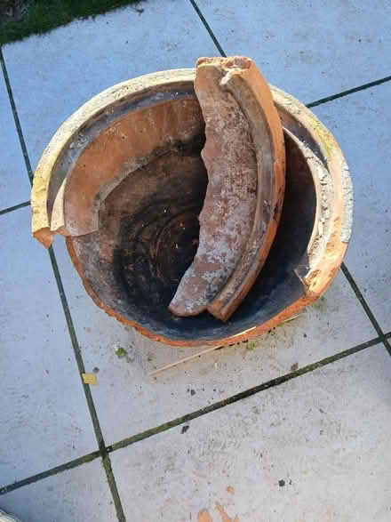 Photo of free Large broken terracotta pot (Hellesdon NR6) #1