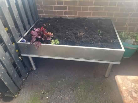 Photo of free Raised planter (Crystal Palace) #1