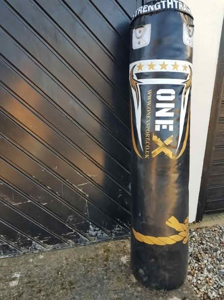 Photo of free Punch Bag (Braughing SG11) #1