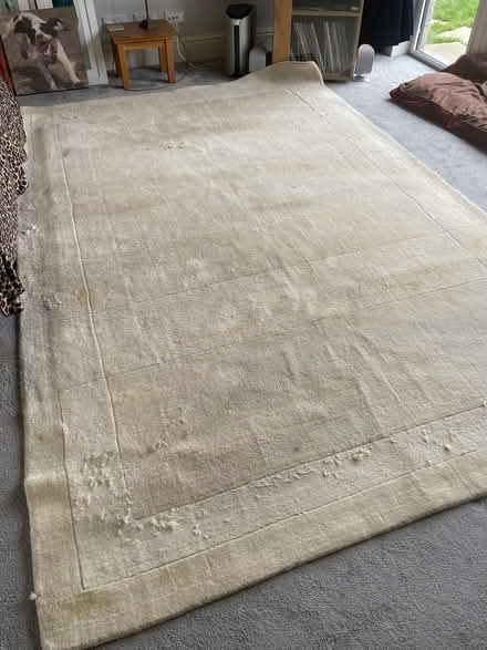 Photo of free Cream rug (Warton LA5) #3