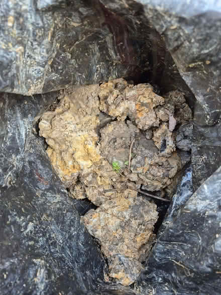 Photo of free Garden clay (High Green S35) #2